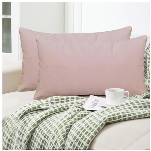 Cotton Velvet Pack of 2 Decorative Velvet Accent Lumbar Throw Pillow Covers, Light Pink 12x20 Rose Shadow Soft Classic Both Sides Rectangle Bolster Cushion Toss Pillow Case for Couch Bedroom Sofa Car