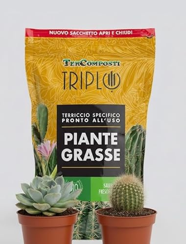 Terriccio Specifico per Piante Grasse 1,5 Litri con 2 Piante Succulente in Vaso 6 cm, Pronto all'Uso