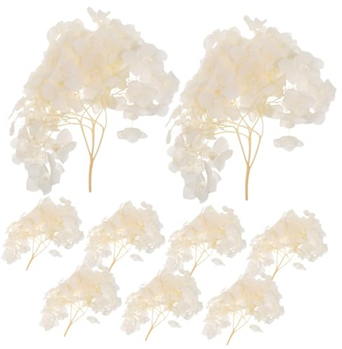 TOYANDONA Pétalos Secos de Flores Beige para Adornos Vintage de Bodas, 30g Flores Conservadas para Centro de Mesa y Recuerdos Elegantes