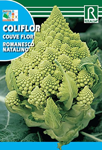 Semilla Coliflor Romanesco natalino - Rocalba