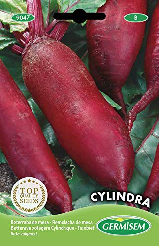 Germisem Cylindra Semi di Barbabietola 5 g