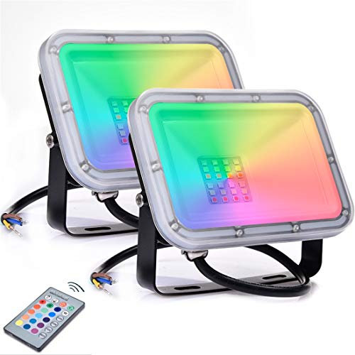 CrownLEDJG 2 x 20W RGB Foco LED con Control Remoto, 16 Colores & 4 Modos, Foco Proyector Exteriores con Función de Memoria, Impermeable IP66, Iluminación del Paisaje Proyector LED para Jardín Fiesta
