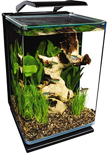 Marineland Portrait Glass LED Aquarium Kit, 5 Gallons, Hidden Filtration,Black