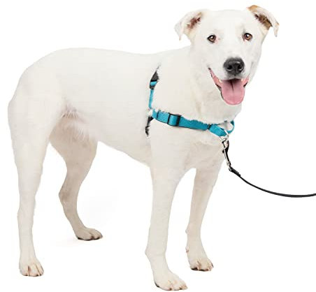 PetSafe Easy Walk Deluxe Harness, No-Pull Walking Harness for Dogs, Padded Design, Includes 1.8m Lead, Medium/Large-Ocean Blue/Black Lead