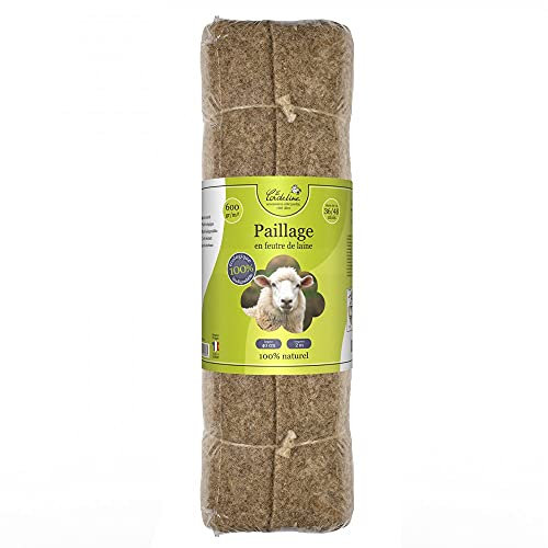 La Cordeline Feutre Paillage 100% Laine 40 cm x 2 m, 600 GR/m2 pour Protection arbustes et plantations au Jardin et au Potager, Naturelle