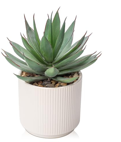 Hollyone Fausses plantes succulentes dans un pot en céramique blanche - 21,8 cm - Agave artificiel givré Shaka Zulu - Plantes artificielles décoratives d'intérieur pour décoration d'intérieur, bureau