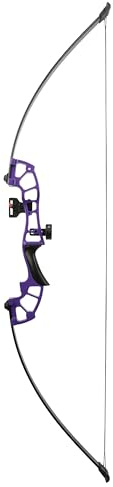 FQH 50 Archery Takedown Recurve Bow and Arrow Set 30-50 lbs Hunting Longbow for Adults and Beginners Outdoor Hunting Target Archery Competition (Only the Bow(Purple), 40 lbs)