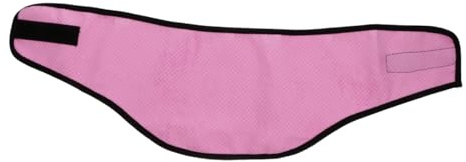GALPADA Pet Cooling Collar Lightweight Breathable Summer Neck Wrap for Running and Sports