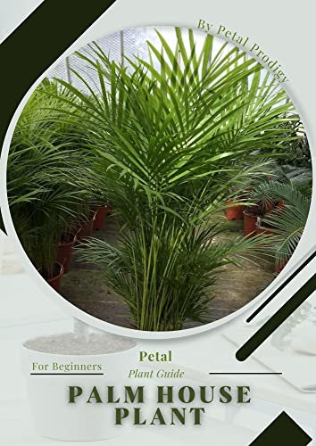 Palm House Plant: Prodigy Petal, Plant Guide