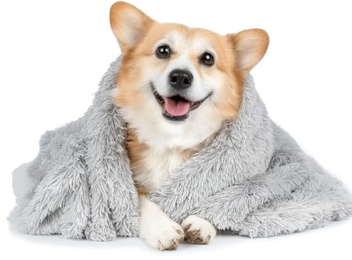 AEYAKA Coperta Morbida per Cani e Gatti – Coperta in Pile Doppia Faccia Lavabile, Plaid Caldo e Soffice per Divano o Letto, Coperta Protettiva per Animali, Grigio 56×36 cm