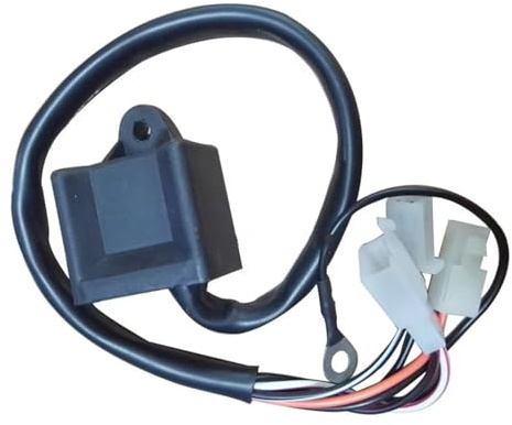 Tändspole Pack FÖR PW80 FÖR PY80 FÖR PEEWEE FÖR PIT FÖR PRO CDI TÄNDSPOLE MOTORCYKEL Tändmodul Spole