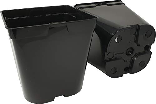GREEN24 10 Stck. Pflanztöpfe 5 L (18,6 x 18,6 x 20,0 cm) große Vierecktöpfe Profi XXL Anzuchttöpfe Pflanztöpfe Blumentöpfe Vierkant-Töpfe