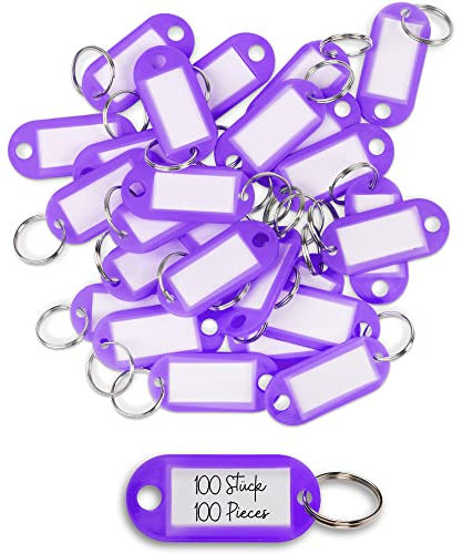 WINTEX Portachiavi con Targhette - 20 Porta Chiavi in Plastica Resistente - Etichette per Chiavi Colorate - per Organizzazione Viaggi Animali Domestici - Viola