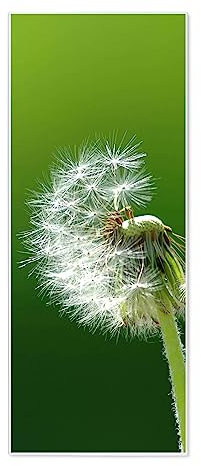 banjado® Magnettafel 30 x 75cm / Magnetwand aus Metall/Magnetpinnwand als Memoboard/Pinnwand Magnettafel Küche, Büro, Kinderzimmer inkl. 4 Magnete & Montageset - Motiv Pusteblume