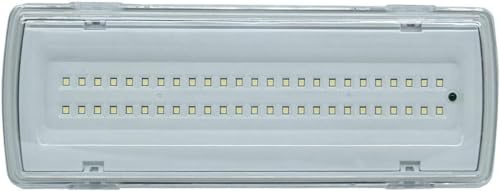 SQUADO - Lampada di Emergenza con 50 Led Completa di Incasso + Batteria Luce Bianca 4 W [Classe di efficienza energetica A]