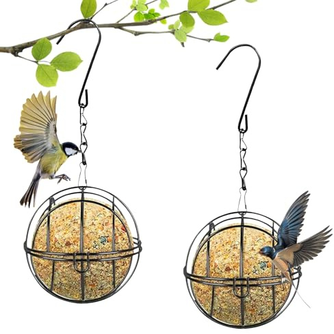 2 pièces de porte-nourriture pour mésanges en métal, support pour nourriture avec crochet en S, mangeoire pour oiseaux sauvages, station d'alimentation pour oiseaux de jardin, robuste et durable (Noir