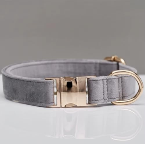 Elegantes Hundehalsband aus Samt mit Goldener Metallschnalle – Hochwertig, bequem & verstellbar – Edles Design in Mehreren Farben & Größen (23–60 cm) (Grau, S = Umfang 23-38cm)