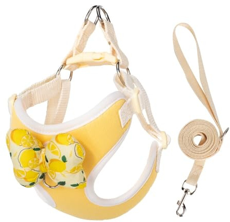 Ensemble harnais et laisse pour chiot avec nœuds amovibles, harnais réglable et léger pour vétérinaire, idéal pour la marche, la course à pied, le dressage pour chiot, chien de petite et moyenne