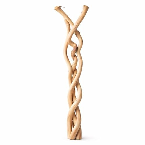 FLORALCRAFT® Dried Natural Dula 90cm Log Decorative Wood Branches Twigs Vase Filler (Pack of 3)
