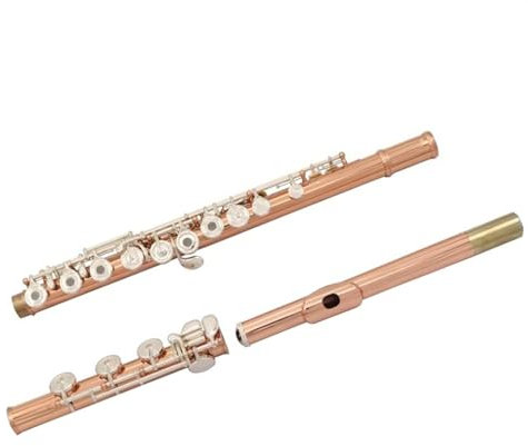 Querflöte Instrument Französische Versilberte Klappen, Korpus Rosévergoldet, Flöte, 17 Klappen, Geschlossene Hacken, C-Ton-Flöte Mit Box