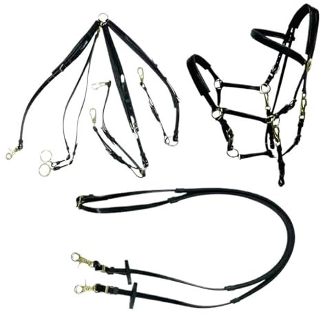 LYFDPN Redini per Cavalli Sella per Cavalli Briglia da Equitazione di Resistenza Set Completo per l'endurance e Il Trail Riding (TPU Black)