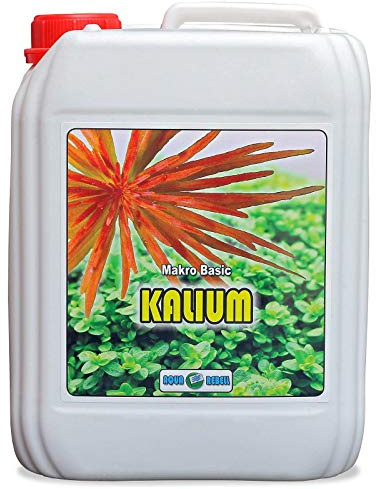 Aqua Rebell ® Makro Basic Kalium Dünger - 5 Literflasche - optimale Versorgung für Ihre Aquarium Wasserpflanzen - Aquarium Dünger speziell für Wasserpflanzen entworfen | 5 Liter Kaliumdünger für Wasserpflanzen–unterstützt eine gezielte Versorgung mit Kalium und kräftiges Wachstum im Aquarium.