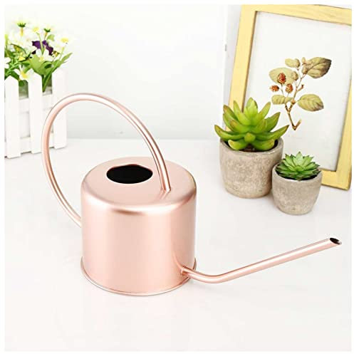 Annaffiatoio 1300 ml di annaffiatoio in metallo in metallo in acciaio inox for la bottiglia di acqua flower domestica Maniglia facile da usare for l'annaffiatura bocca lunga pianta Annaffiatoio Bonsai