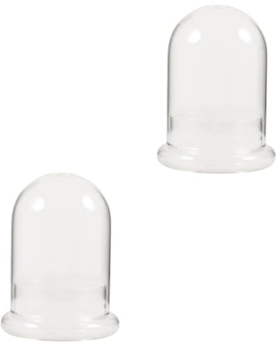 RORPOIR 2pcs Micro Landscape Accessory Glass Dome Bell Jar Decorative Glass Display Cloche Perfect for Home Office Decor
