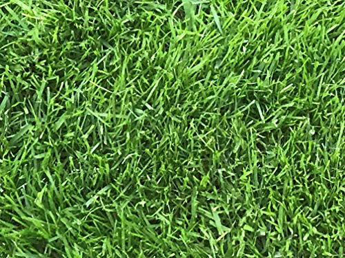 Müller GmbH 25 kg Spezial Rasensand Rasen 0,1-0,3 mm Grassand zur Rasenpflege und Bodenverbesserung