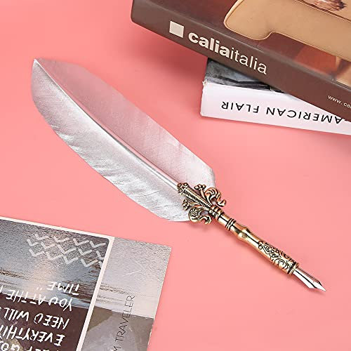 WPKD BLUEIY 1,0 mm Federstift-Set, unverwechselbares Kalligraphie-Federstift-Set in Geschenkbox, Schreibwerkzeug für Studenten, Silber