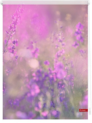 Lichtblick Klemmfix Tageslicht-Rollo mit Motiv, ohne Bohren, Blickdicht, Seitenzugrollo, Made in Germany, Blumenwiese - Fuchsia Violett 70 x 150 cm (B x L)