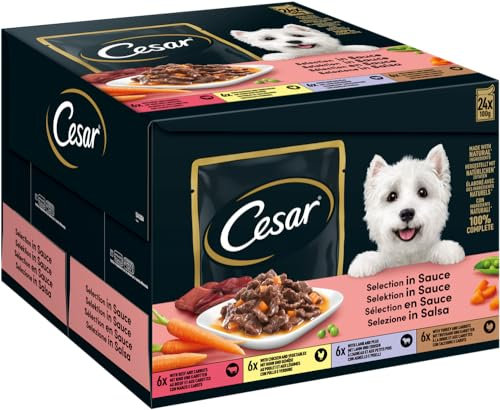 Cesar Feines im Frischebeutel Favoriten in Sauce Hunde-/Nassfutter, 24 Portionsbeutel (24 x 100g)