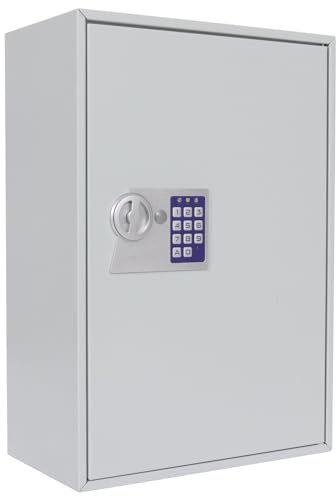 Profirst Schlüsselschrank Elea 300, Elektronikschloss, mechanische Notöffnung möglich, Lichtgrau, BxH 38x55 cm, 300 Hakenleisten, 300 Schlüsselanhänger gratis, inkl. Befestigungsmaterial