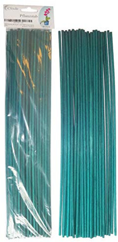 O&W Security - 40 unidades de varillas para plantas de tomates, de madera, color verde, 40 cm de diámetro, ecológico, 100% compostable Produktname