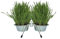 Cat FurNature - Stainless Steel Bowls with Stand and Grow Your Own Cat Grass Kit