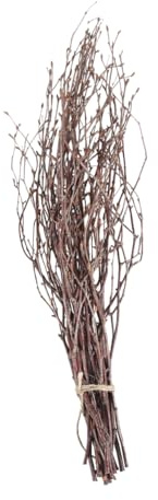 ERINGOGO Rami di Nocciolo Contorto Rami di Betulla Decorativi 10 Pezzi, in Legno Marrone Rustici per Home Decoration e Addobbi Fai da Te