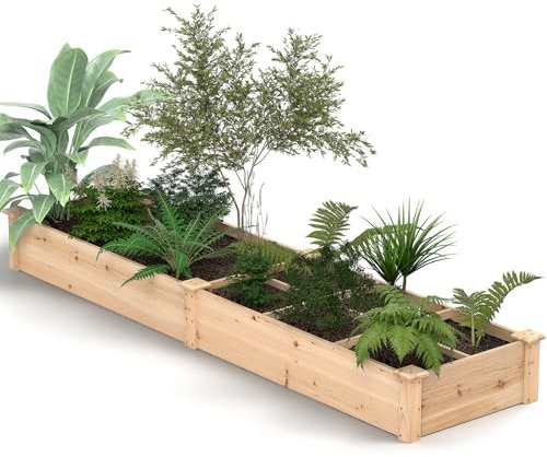 HOMASIS Orto Rialzato da Esterno in Legno, Fioriera con 2 Scomparti e Separatori per Fiori, Verdure, Frutta, Erbe, Letto da Giardino per Terrazza, Balcone, 228 x 62 x 25 cm