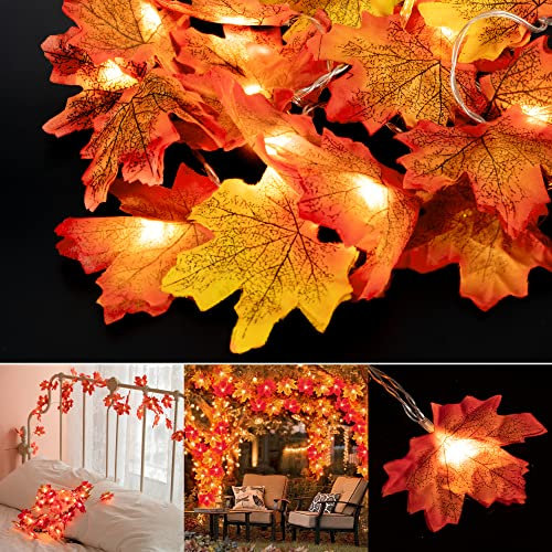 Ahornblatt Lichterketten, 20 LED Herbst Dekoration Ahornblatt Girlande Lichtern für Outdoor Home Halloween Dekoration Weihnachtsfeiern Dekoration Thanksgiving Decorations