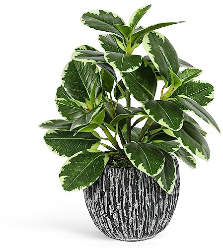 Artificial Plants Indoor Outdoor, Faux Variegated Oak Leaf Plant, Fake Potted Plants Artificial Decor for Coffee Table Desk Shelf, Faux Plants Indoor for Living Room Bathroom Bedroom Entryway Office