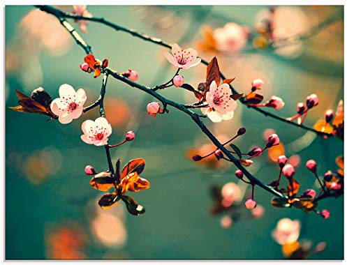 ARTland Wanddeko Glasbilder Wandbild Glas Bild einteilig 60x45 cm Querformat Blumen Kirschblüte Botanik Blüten Natur Asien Japan Moderne Kunst T5VP