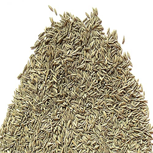 Il Contadino - Antiche Sementi | FESTUCA ARUNDINACEA | Césped, Apto para todos los lugares y tipos de suelo, Excelente resistencia a la sequía, al pisado y al sombreado (20 Kg)