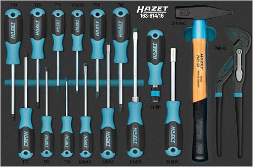 HAZET Werkzeug-Satz 163-614/16, 16-teilig, mit Schraubendrehern PH1-PH2, T10-T30, Schlitz, Innen-TORX, Schlosserhammer und Wasserpumpenzange für vielseitige Anwendungen