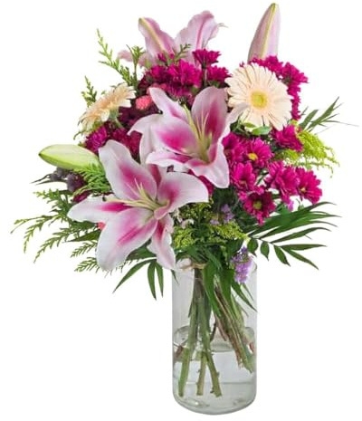 FLORES SOLIDARIAS - Ramos de Flores Naturales Gerberas Alegres - Ramo Fresco de Calidad para Regalo, San Valentín, Día de la Madre, Bodas, Aniversarios, Cumpleaños y Decoración del Hogar