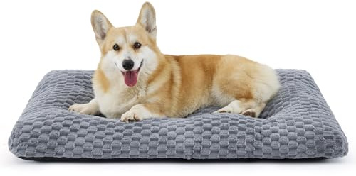 BEDSURE Hundekissen Grosse Hunde waschbar,89x58x9cm,grau