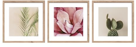 STYLER Bilder Set Fresh 3x 30x30 cm (AUFHÄNGFERTIG) mit hochwertigem Holzrahmen – Frische Pflanzenmotive für Ihr Zuhause – Grün Rosa Natur Minimalistisch Botanik