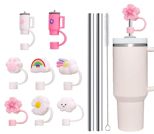 11 PCS Straw Maintenance Kit，Cup Straw Cover, Silicone Straws Toppers X8,Reusable Stainless Steel Straws X2 ，Stainless Steel Brush,Compatible with Stanley Cup, Travel Cup, Glass Cup.