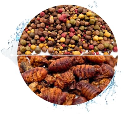 Koi Koifutter * 5-Sorten-Mix * 15Liter + 1 Liter Seidenraupen (3-6mm)