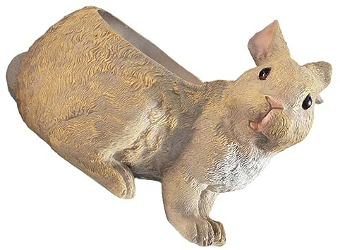 Happyyami De Diseño De Conejo para Suculentas y Cactus Decoración para y Jardín Resistente y para