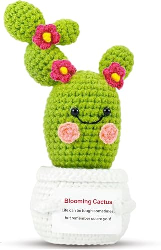 PinCute Planta de cactus positiva, regalos para mujeres, hombres, amigos, hermana: regalos de cactus florecientes de ganchillo para Pascua, día de la madre, cumpleaños, lindas muñecas divertidas con