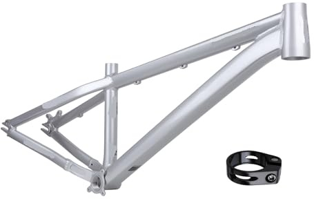 Dirt Jump Hardtail MTB Frame 26 Inch Aluminum Alloy, DJ BMX Cruiser Frame 10x135mm Quick Release(26inch-Silver)